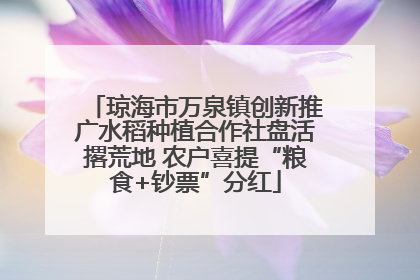 琼海市万泉镇创新推广水稻种植合作社盘活撂荒地 农户喜提“粮食+钞票”分红