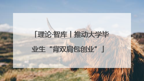 理论·智库丨推动大学毕业生“背双肩包创业”