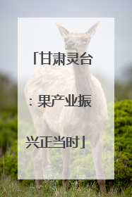 甘肃灵台：果产业振兴正当时