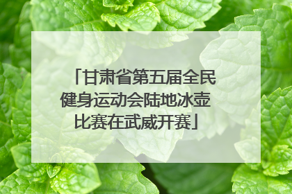 甘肃省第五届全民健身运动会陆地冰壶比赛在武威开赛