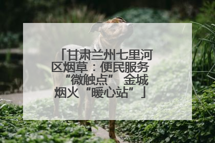 甘肃兰州七里河区烟草：便民服务“微触点” 金城烟火“暖心站”