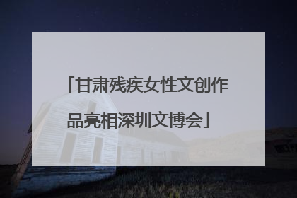 甘肃残疾女性文创作品亮相深圳文博会