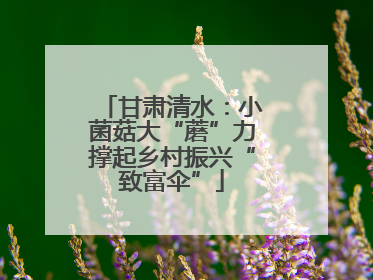 甘肃清水：小菌菇大“蘑”力撑起乡村振兴“致富伞”