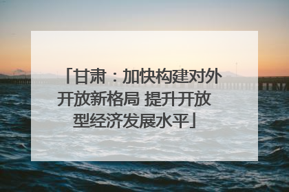 甘肃：加快构建对外开放新格局 提升开放型经济发展水平