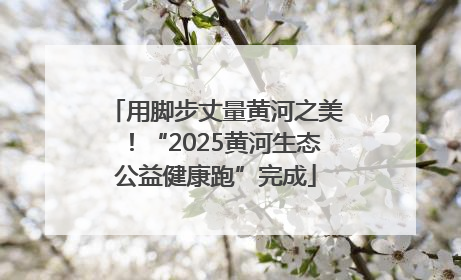 用脚步丈量黄河之美！“2025黄河生态公益健康跑”完成