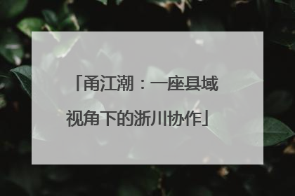 甬江潮：一座县域视角下的浙川协作