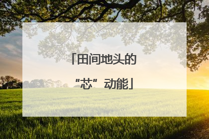 田间地头的“芯”动能