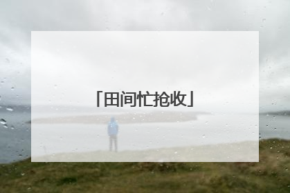 田间忙抢收