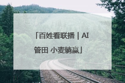 百姓看联播｜AI管田 小麦躺赢