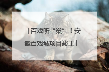 百戏听“巢”！安徽百戏城项目竣工