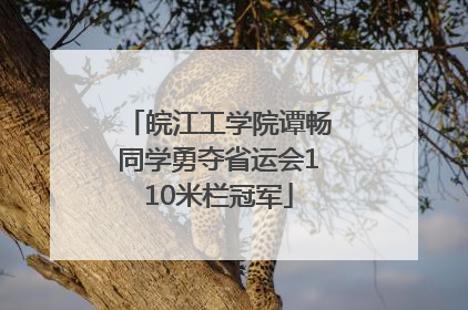皖江工学院谭畅同学勇夺省运会110米栏冠军