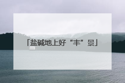 盐碱地上好“丰”景