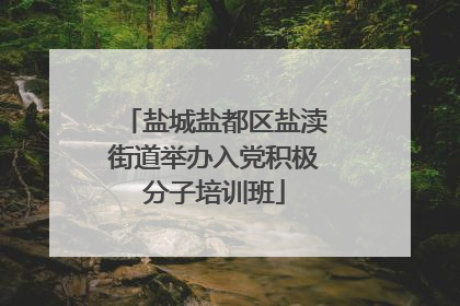 盐城盐都区盐渎街道举办入党积极分子培训班