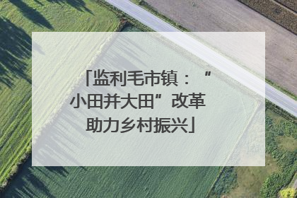 监利毛市镇：“小田并大田”改革 助力乡村振兴