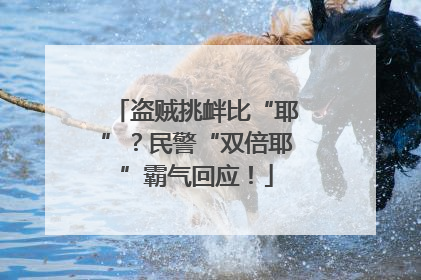 盗贼挑衅比“耶”？民警“双倍耶”霸气回应！