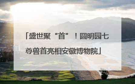 盛世聚“首”！圆明园七尊兽首亮相安徽博物院
