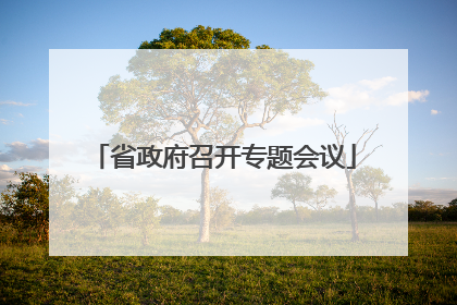 省政府召开专题会议
