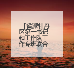 省派牡丹区第一书记和工作队工作专班联合菏泽市建行开展“七一”走访慰问暨红色教育活动