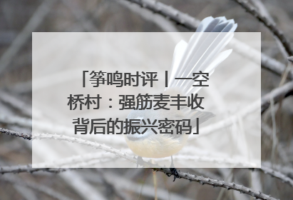 筝鸣时评丨一空桥村：强筋麦丰收背后的振兴密码
