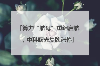 算力“航母”重组启航，中科曙光复牌涨停