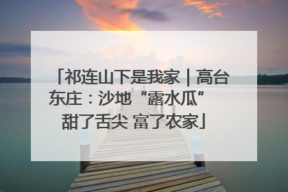 祁连山下是我家｜高台东庄：沙地“露水瓜” 甜了舌尖 富了农家