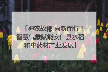 神农故郡 向新而行！智慧气象赋能安仁县水稻和中药材产业发展