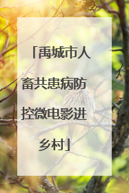 禹城市人畜共患病防控微电影进乡村