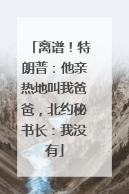 离谱！特朗普：他亲热地叫我爸爸，北约秘书长：我没有