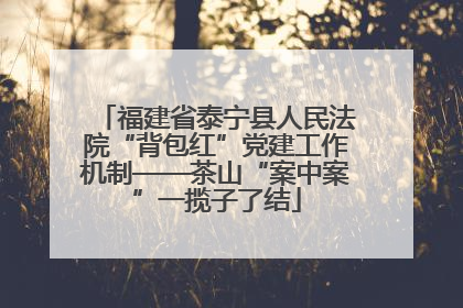 福建省泰宁县人民法院“背包红”党建工作机制——茶山“案中案”一揽子了结