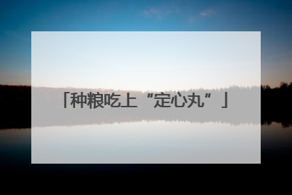 种粮吃上“定心丸”