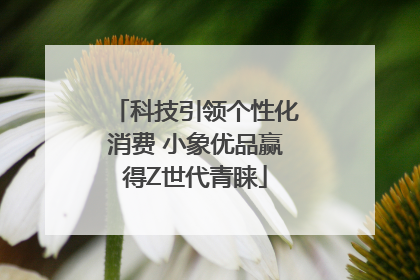 科技引领个性化消费 小象优品赢得Z世代青睐