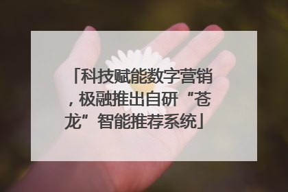 科技赋能数字营销，极融推出自研“苍龙”智能推荐系统