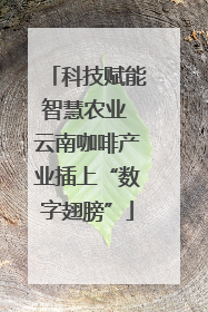 科技赋能智慧农业 云南咖啡产业插上“数字翅膀”