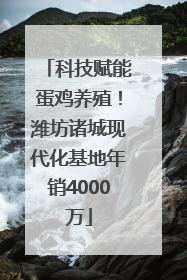 科技赋能蛋鸡养殖！潍坊诸城现代化基地年销4000万