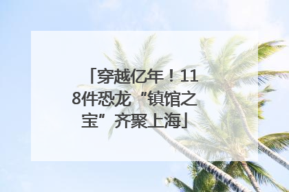 穿越亿年！118件恐龙“镇馆之宝”齐聚上海