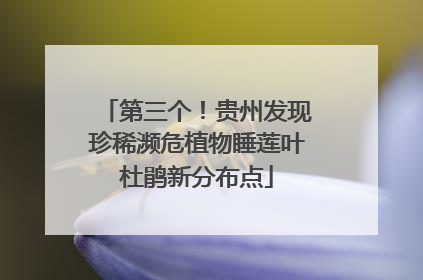 第三个！贵州发现珍稀濒危植物睡莲叶杜鹃新分布点