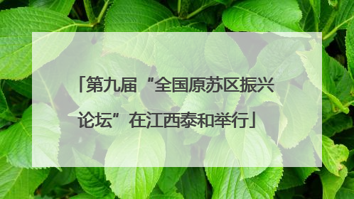 第九届“全国原苏区振兴论坛”在江西泰和举行