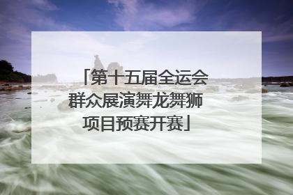 第十五届全运会群众展演舞龙舞狮项目预赛开赛