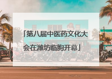 第八届中医药文化大会在潍坊临朐开幕