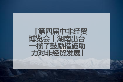 第四届中非经贸博览会丨湖南出台一揽子鼓励措施助力对非经贸发展