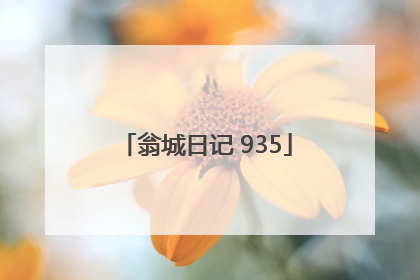 翁城日记 935