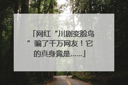 网红“川剧变脸鸟”骗了千万网友！它的真身竟是……