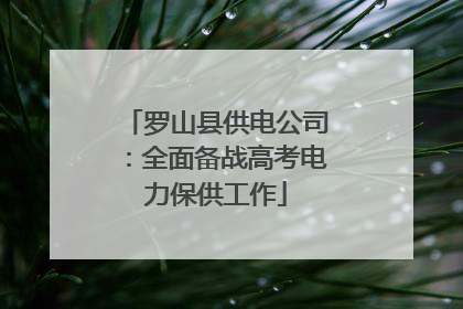 罗山县供电公司：全面备战高考电力保供工作