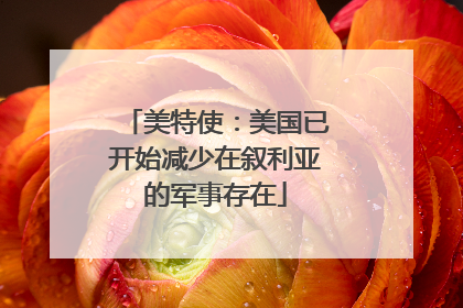 美特使：美国已开始减少在叙利亚的军事存在