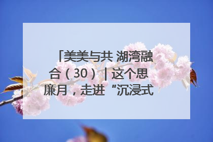美美与共 湖湾融合（30）｜这个思廉月，走进“沉浸式”清风课堂