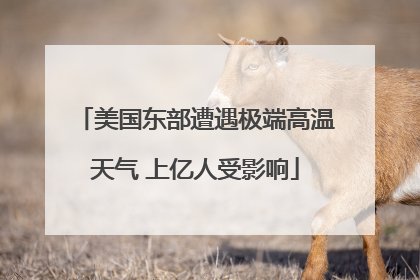 美国东部遭遇极端高温天气 上亿人受影响