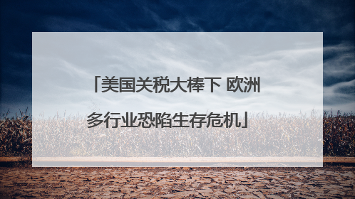 美国关税大棒下 欧洲多行业恐陷生存危机