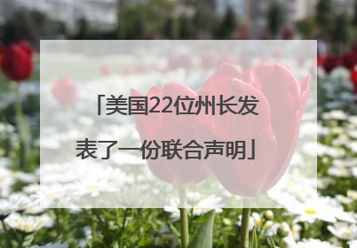 美国22位州长发表了一份联合声明