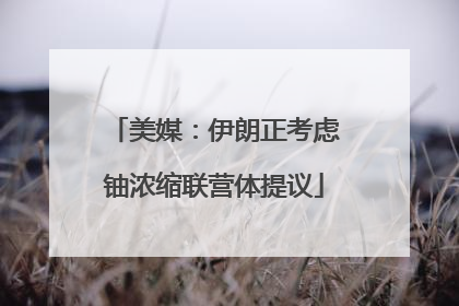 美媒：伊朗正考虑铀浓缩联营体提议