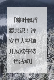 粽叶飘香凝共识！淳安县大墅镇开展端午特色活动